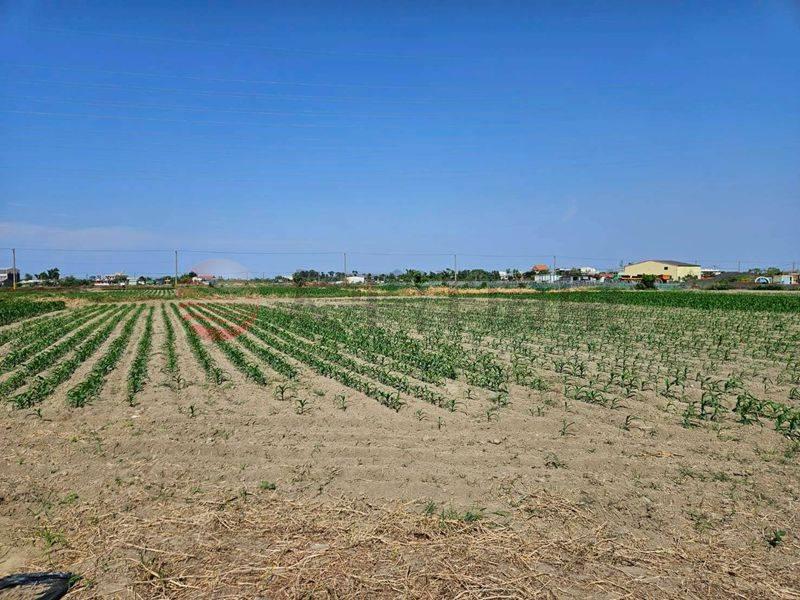 近宅港國小一般農,台南市學甲區平東段