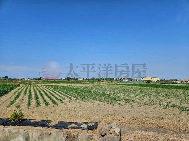 近宅港國小一般農,台南市學甲區平東段