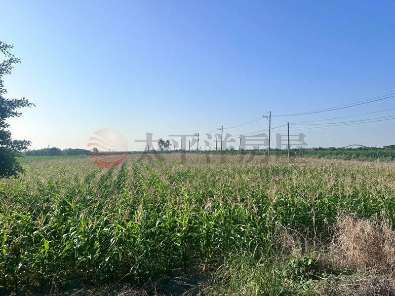 營頂村莊旁大面積農地,台南市佳里區禮化段