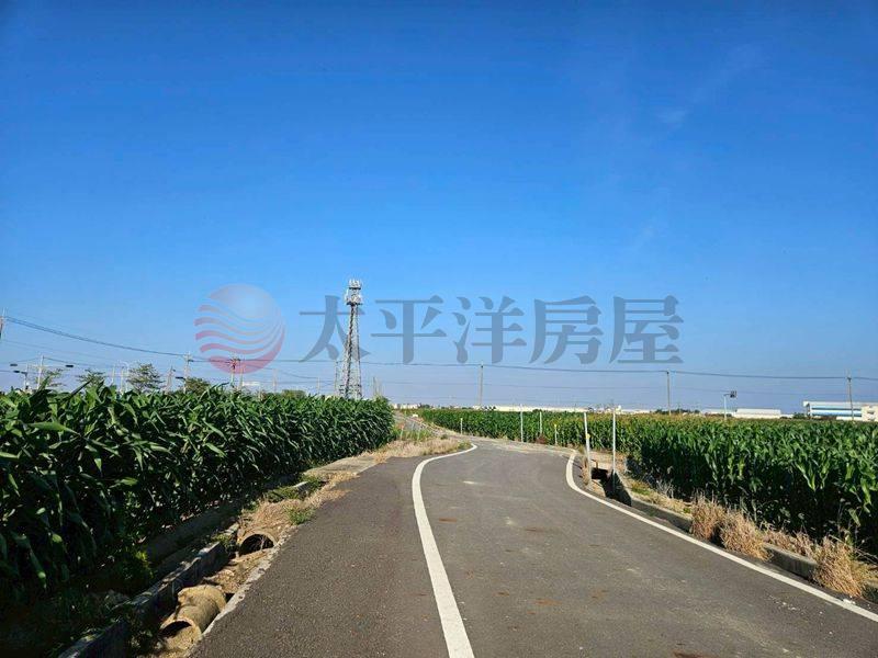 鹽水台19線旁小農地,台南市鹽水區天保厝段