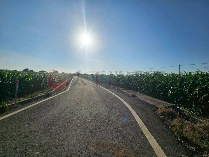 鹽水台19線旁小農地,台南市鹽水區天保厝段