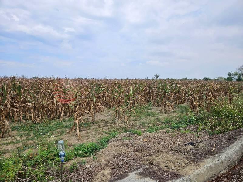 鹽水低總價農地,台南市鹽水區舊營段