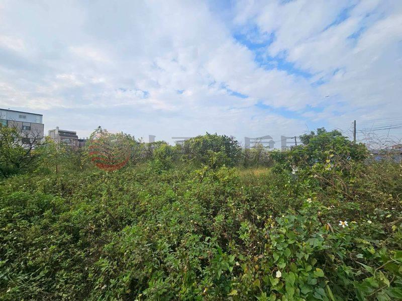 近新營太子宮農地+建地