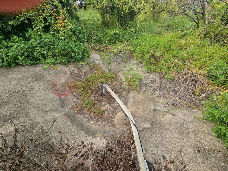 近新營太子宮農地+建地