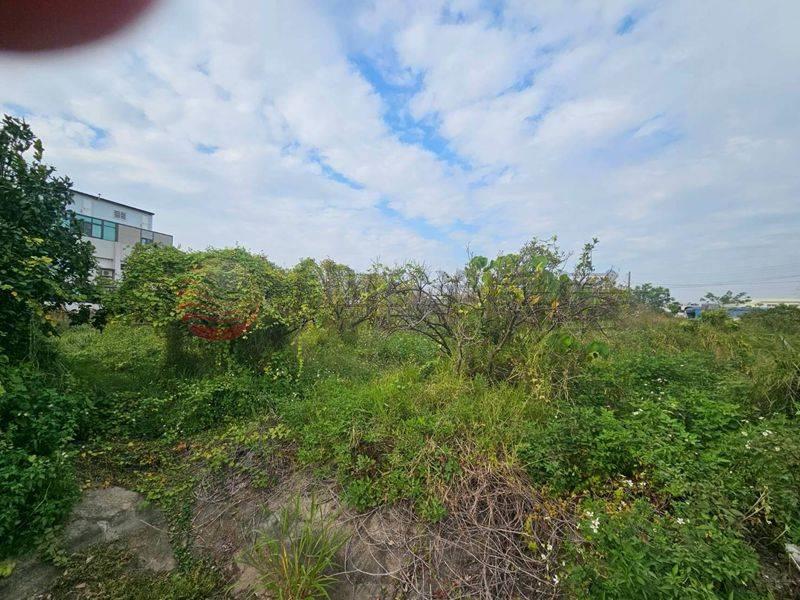 近新營太子宮農地+建地