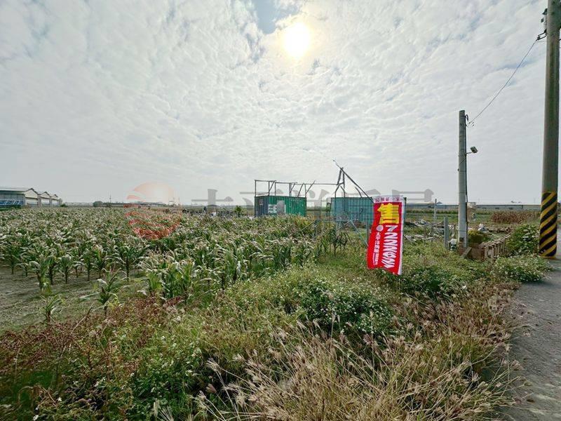 將軍近西濱公路美農地,台南市將軍區漚汪段