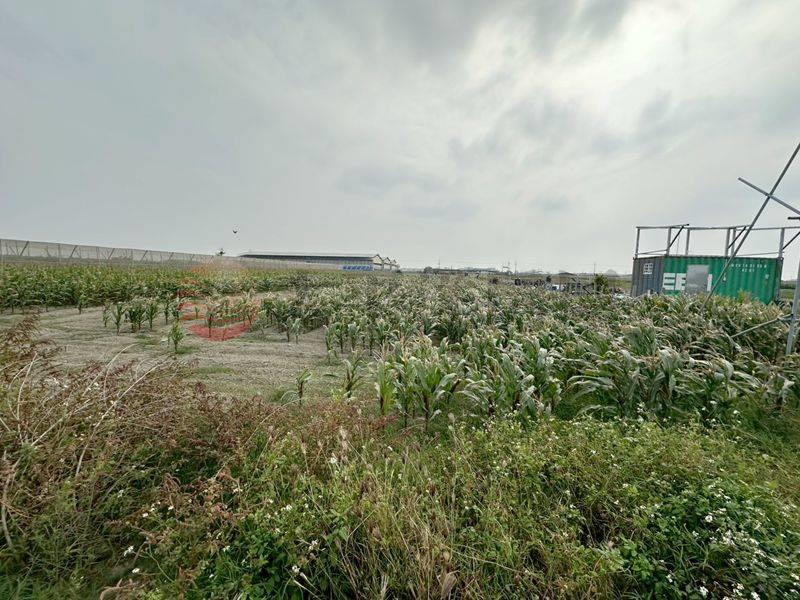 將軍近西濱公路美農地,台南市將軍區漚汪段