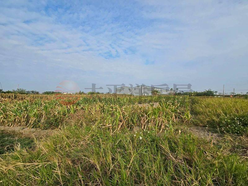 七股近南34線農田,台南市七股區看坪段