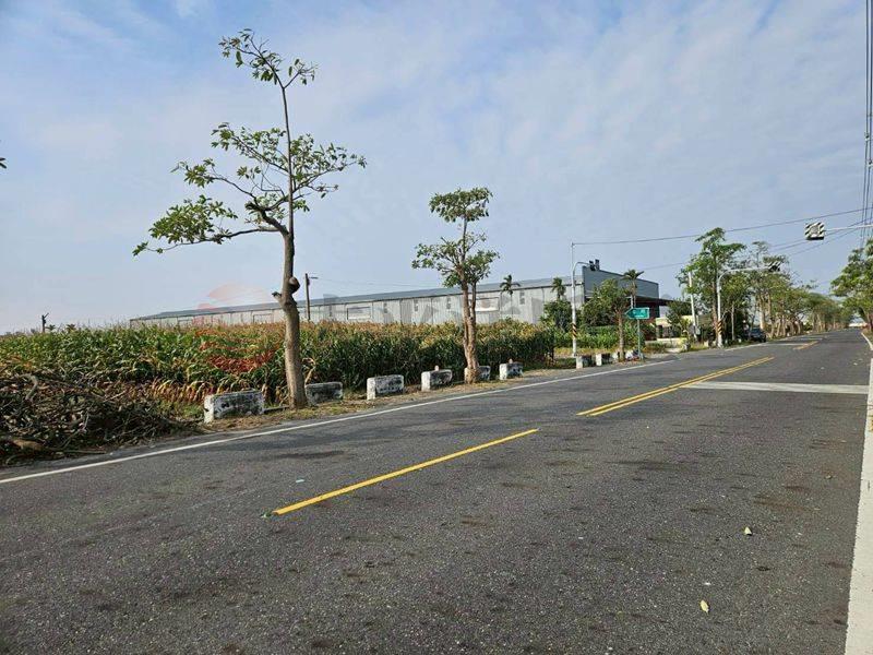 七股看坪小農田,台南市七股區看坪段