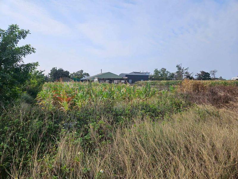 七股看坪小農田,台南市七股區看坪段