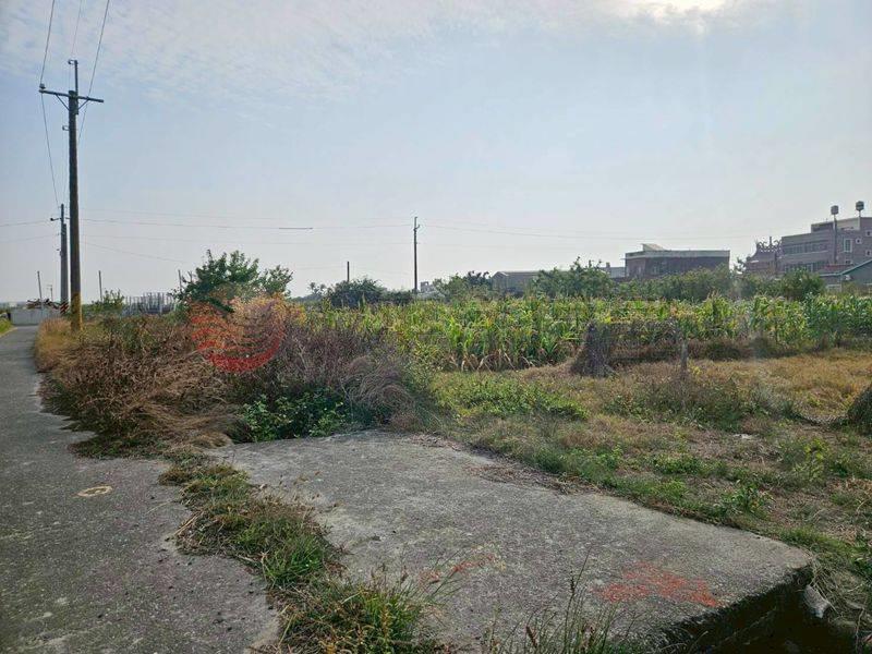 七股看坪小農田,台南市七股區看坪段