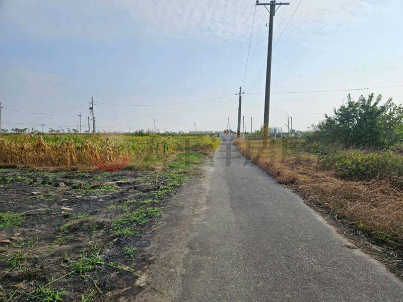 七股看坪小農田,台南市七股區看坪段