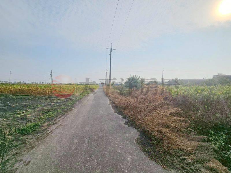 七股看坪小農田,台南市七股區看坪段