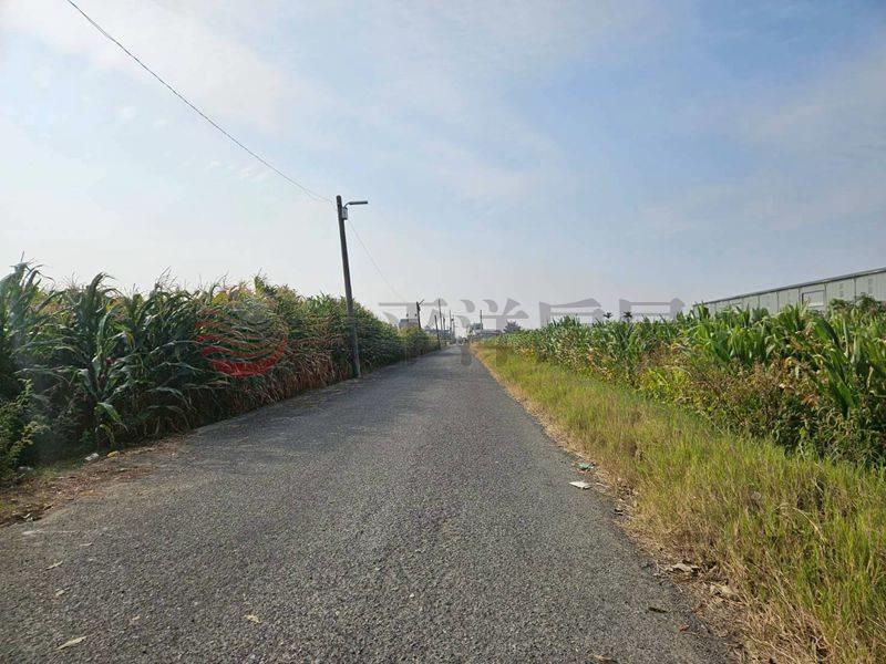 七股看坪小農田,台南市七股區看坪段