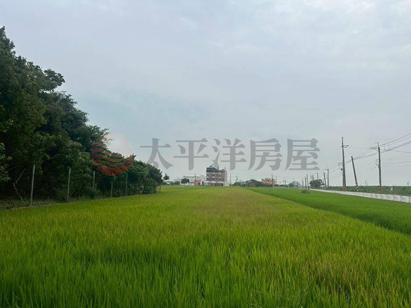 西港近佳里低於實登農地,台南市西港區後營段