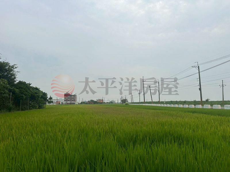 西港近佳里低於實登農地,台南市西港區後營段