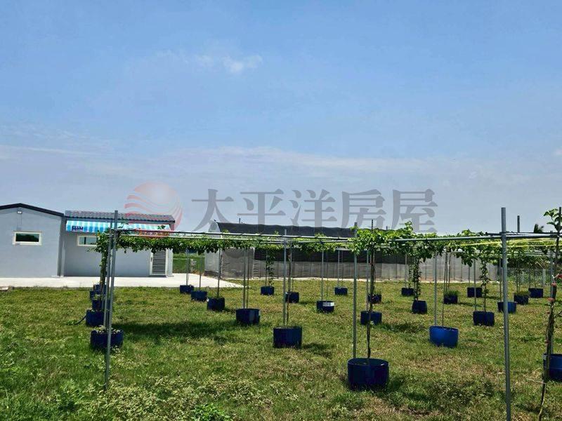 將軍有合法資材室的百香果園,台南市將軍區忠興段