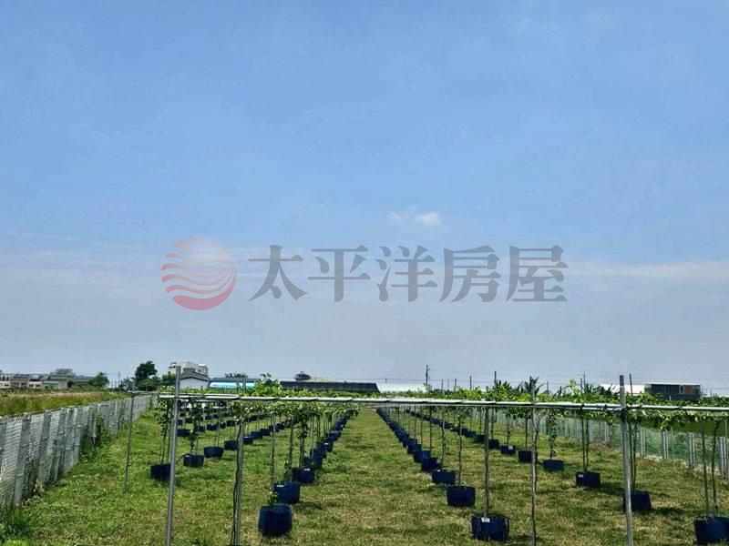 將軍有合法資材室的百香果園,台南市將軍區忠興段