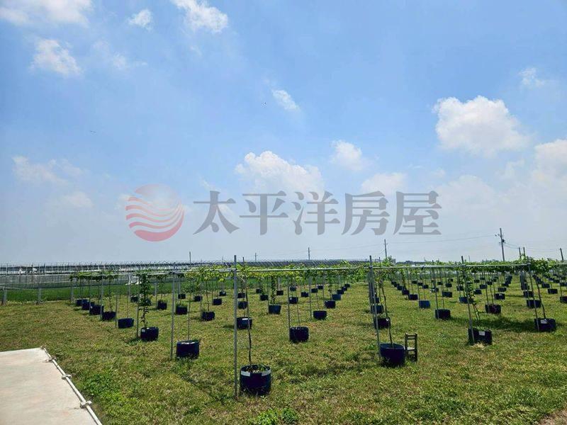 將軍有合法資材室的百香果園,台南市將軍區忠興段