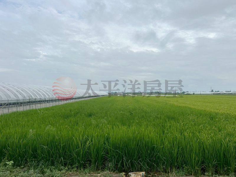 將軍忠興休閒農地,台南市將軍區忠興段
