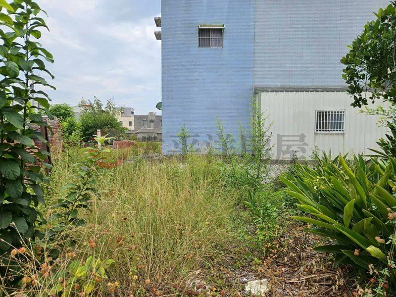 下營7米面寬建地,台南市下營區仁里段